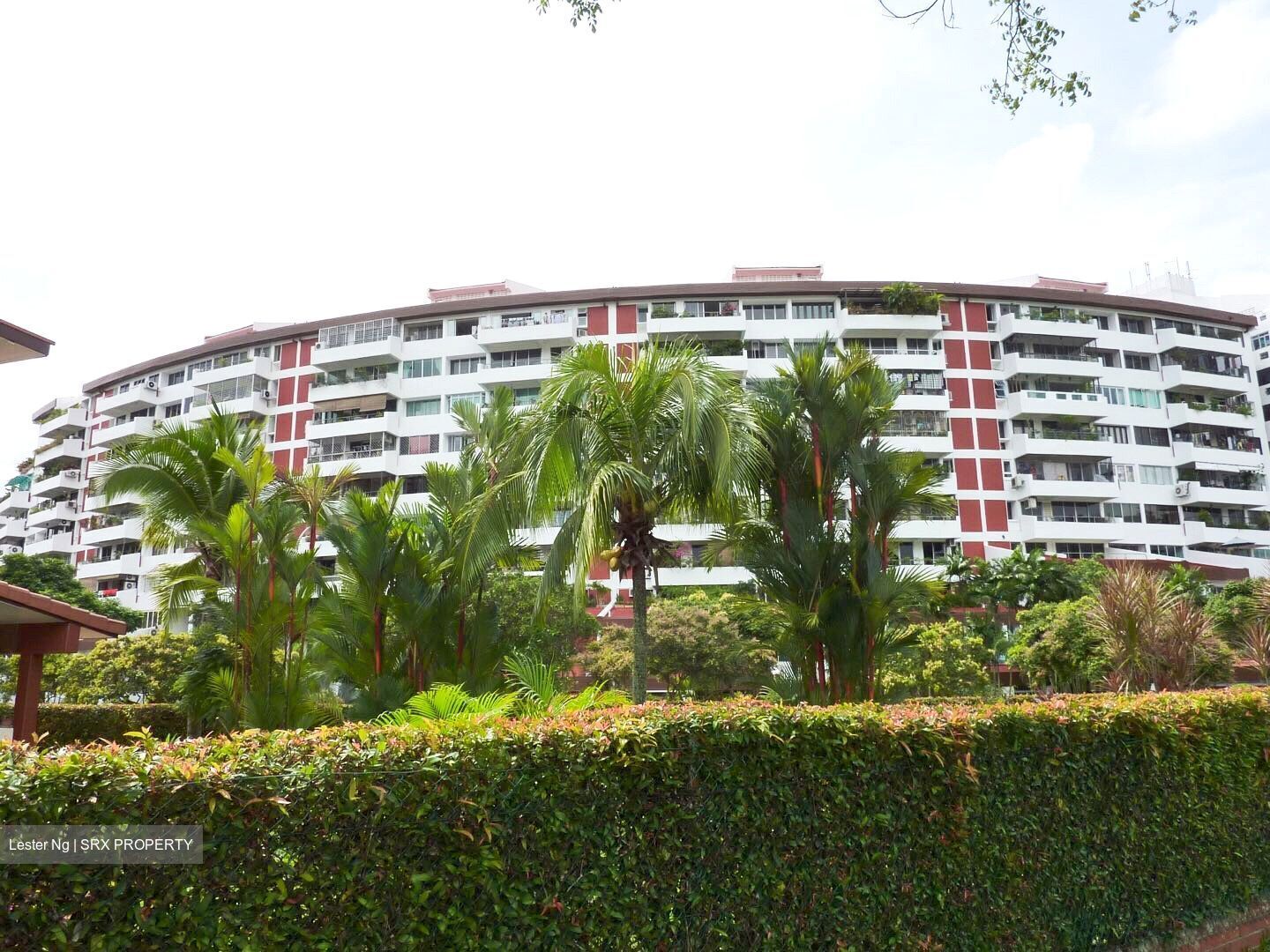 Clementi Park (D21), Condominium #577176901